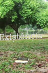 Existência Movie Streaming Online