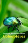 Fabulous Insects - Beetles Movie Streaming Online