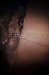 Fibre & Wood Movie Streaming Online