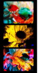 Flowers (II) Movie Streaming Online