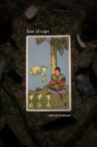 four of cups Movie Streaming Online