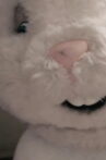 Fucked Up presents Year of the Hare Movie Streaming Online