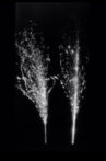 Fukushima, Autoradiography Movie Streaming Online