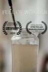 Full of Wonder: the art of Angelyn DeBord Movie Streaming Online