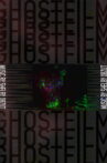 GHOSTFILM Movie Streaming Online