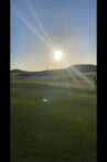 Golf or The Art of Forgetting Movie Streaming Online