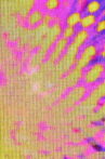 Grids Movie Streaming Online