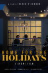 Home for the Holidays Movie Streaming Online