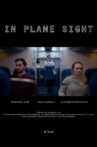In Plane Sight Movie Streaming Online