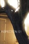 Inspection 01 Movie Streaming Online