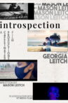 Introspection Movie Streaming Online