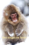 Japans Schneeaffen Hautnah Movie Streaming Online