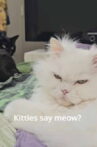 Kitty Say Meow Movie Streaming Online