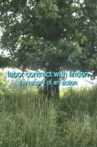 Labor Contract with Linden Tree. The record of an action Movie Streaming Online