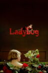 Ladybug Movie Streaming Online