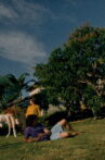 Late on the Planet Movie Streaming Online