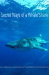 Le long voyage d'un requin-baleine Movie Streaming Online