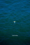 Lost at Sea Movie Streaming Online