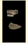 Lumen Synthesis Movie Streaming Online