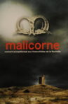 Malicorne – Concert Exceptionnel Aux Francofolies De La Rochelle Movie Streaming Online