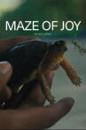 Maze of Joy Movie Streaming Online