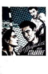 Meet Me at the Stadium Movie Streaming Online