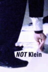 Mike Bidlo: NOT Klein Movie Streaming Online