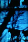Miramen Movie Streaming Online