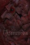 Misericordia Movie Streaming Online