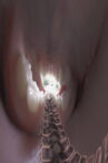 mouthbreather Movie Streaming Online