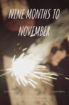 Nine Months to November Movie Streaming Online