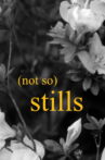 (not so) Stills. Movie Streaming Online