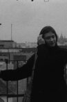 On a rooftop Movie Streaming Online