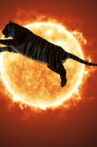 One or Several Tigers Movie Streaming Online