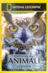 Owls: Silent Hunters Movie Streaming Online