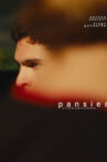 pansies Movie Streaming Online