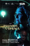 Pássaros na Vidraça Movie Streaming Online