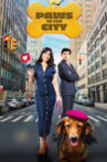 Paws in the City Movie Streaming Online