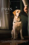 Paws of Fate Movie Streaming Online