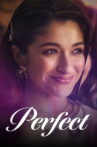 Perfect Movie Streaming Online