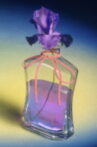 PERFUMANIA Movie Streaming Online