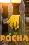 Pocha Movie Streaming Online