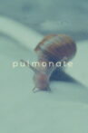 Pulmonate Movie Streaming Online
