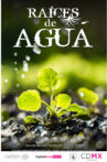 Raíces de Agua Movie Streaming Online
