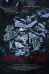 Raw File Movie Streaming Online