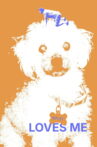 Ripley Loves Me Movie Streaming Online