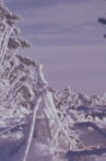 Roan Mountain Eulogy Movie Streaming Online
