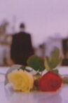 Rosas Movie Streaming Online