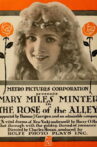 Rose of the Alley Movie Streaming Online