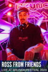 Ross From Friends at Brunch Electronik Festival Movie Streaming Online